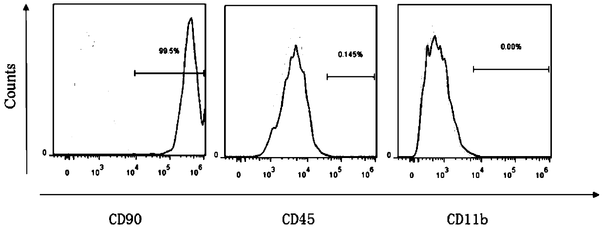 Preparation method of allogeneic mesenchymal stem cells edited by CRISPR technology and optimized by IGF and its application in the treatment of myocardial infarction