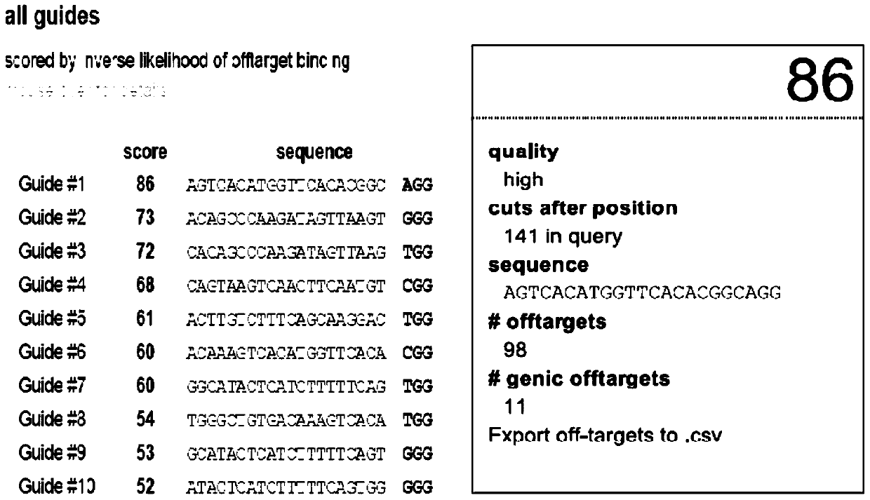 Preparation method of allogeneic mesenchymal stem cells edited by CRISPR technology and optimized by IGF and its application in the treatment of myocardial infarction