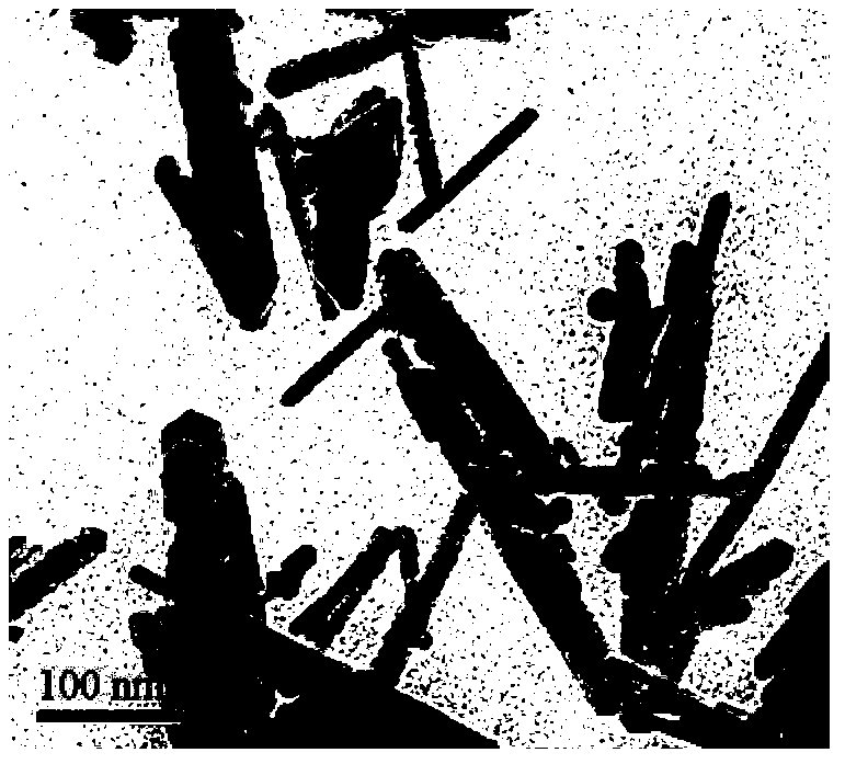 Preparation method of magnetic nanocrystals with adjustable morphology