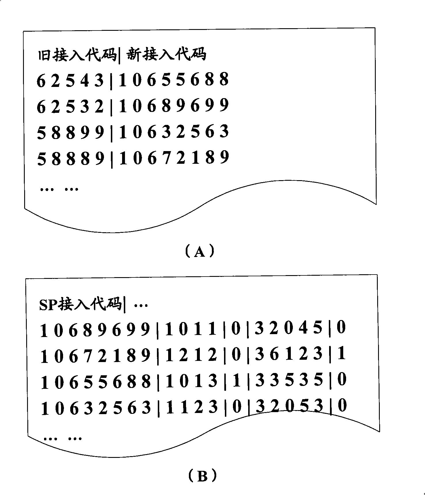 Message type service access number management method and apparatus