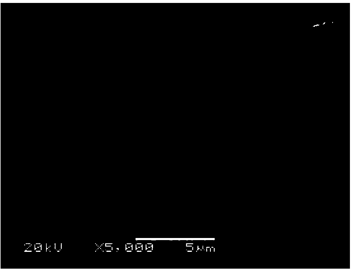 Lithium-sulfur battery with conductive adsorption layer, and application of conductive polymer film