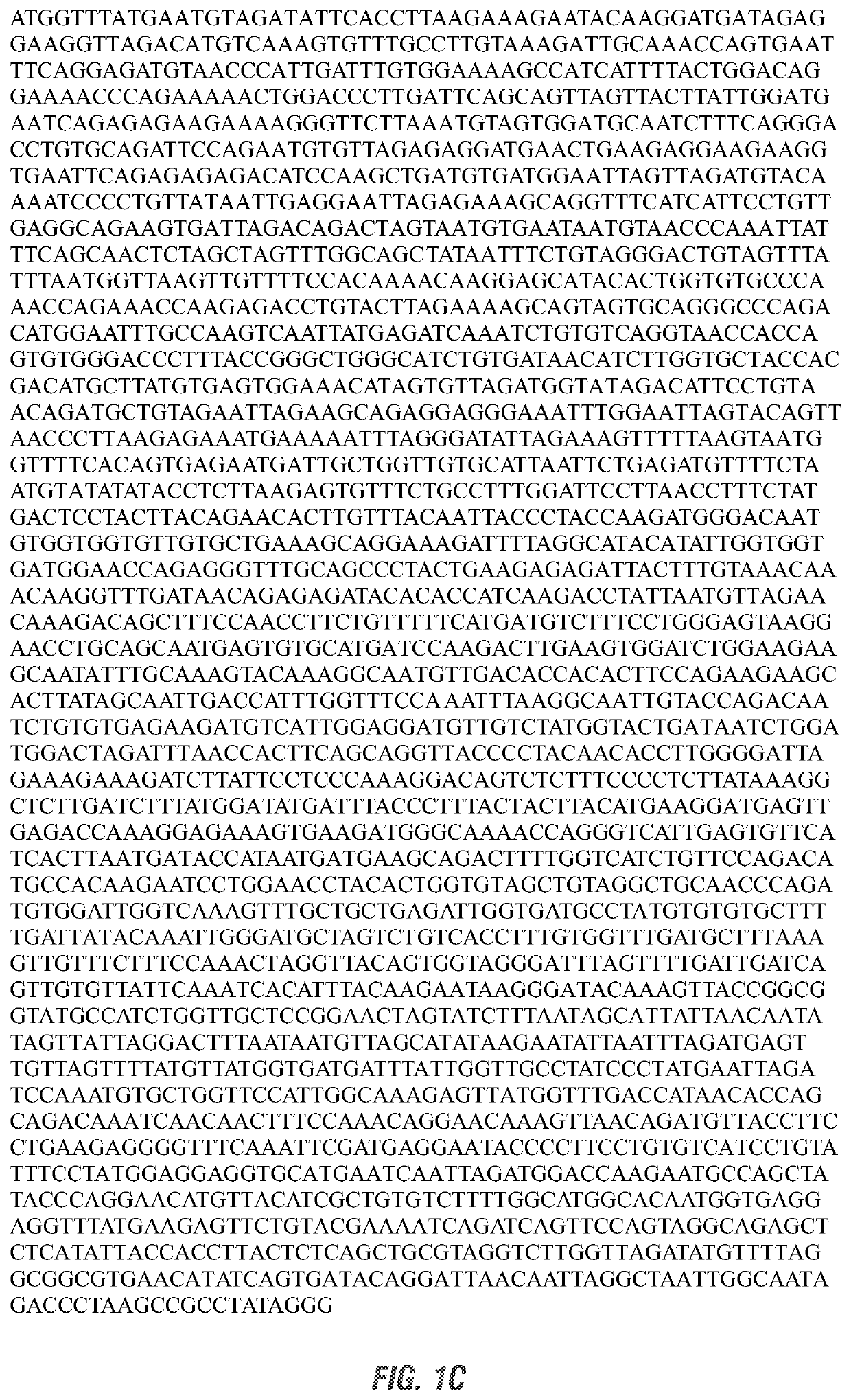 Attenuated porcine sapelovirus strain and immunogenic compositions therefrom