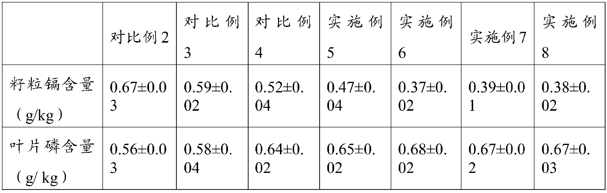 Rhodotorula mucilaginosa strain, peanut cadmium-reducing agent and application thereof