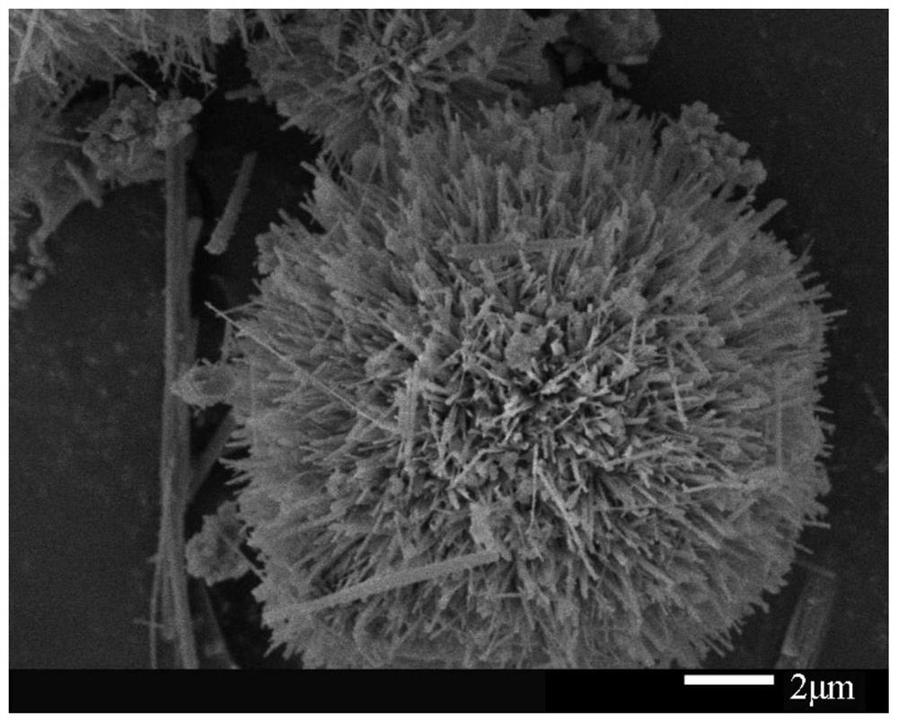 Preparation method of mesoporous hydroxyapatite microspheres