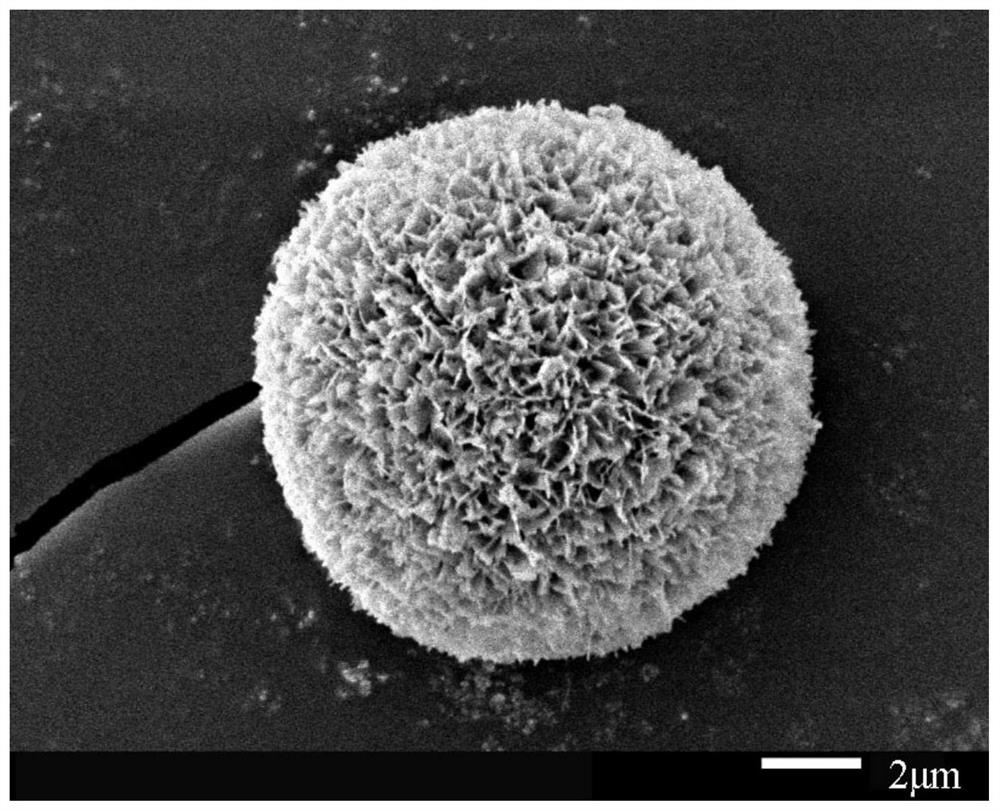 Preparation method of mesoporous hydroxyapatite microspheres