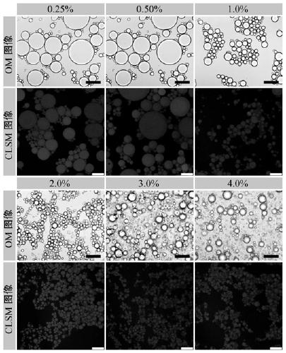 Millimeter-level polykaryon capsules for transporting nutrient substances/medicines to small intestines and realizing slow release and preparation method and application of millimeter-level polykaryon capsules