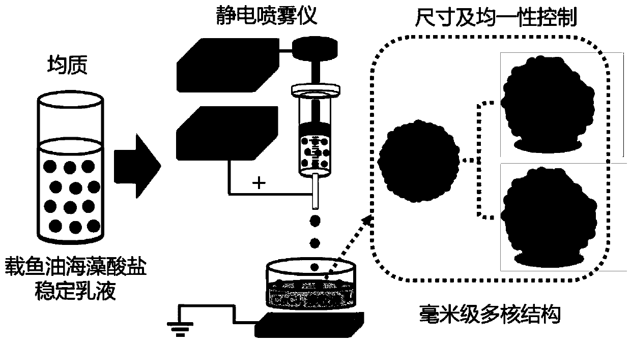 Millimeter-level polykaryon capsules for transporting nutrient substances/medicines to small intestines and realizing slow release and preparation method and application of millimeter-level polykaryon capsules