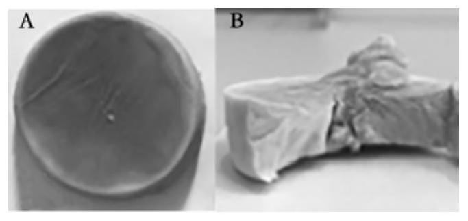 A kind of plant cellulose adsorption sponge, its preparation method and application