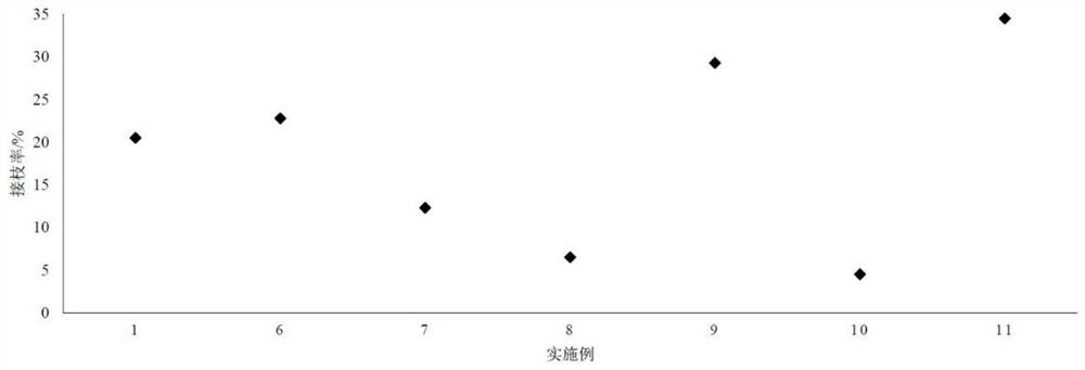 A kind of plant-based soft capsule rubber, preparation method and application thereof