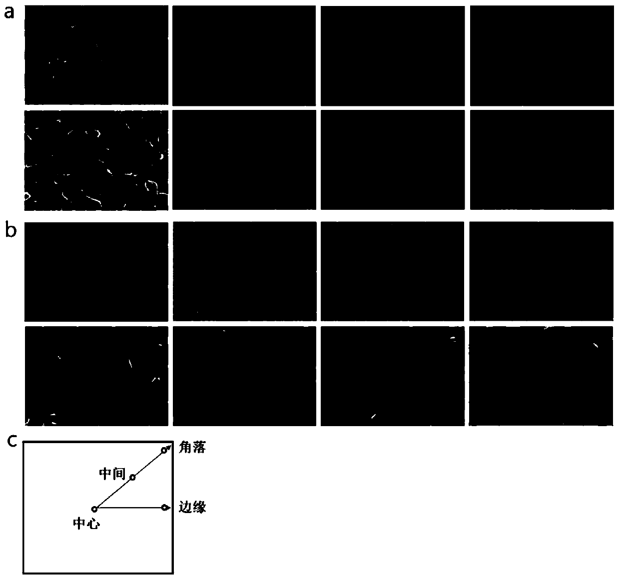 Method for preparing large-area perovskite layer and perovskite solar cell