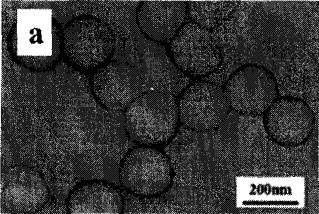 Method for synthesizing anatase type crystallizing titanium dioxide nano nuclear-shell or shell structure material by water phase one-step method