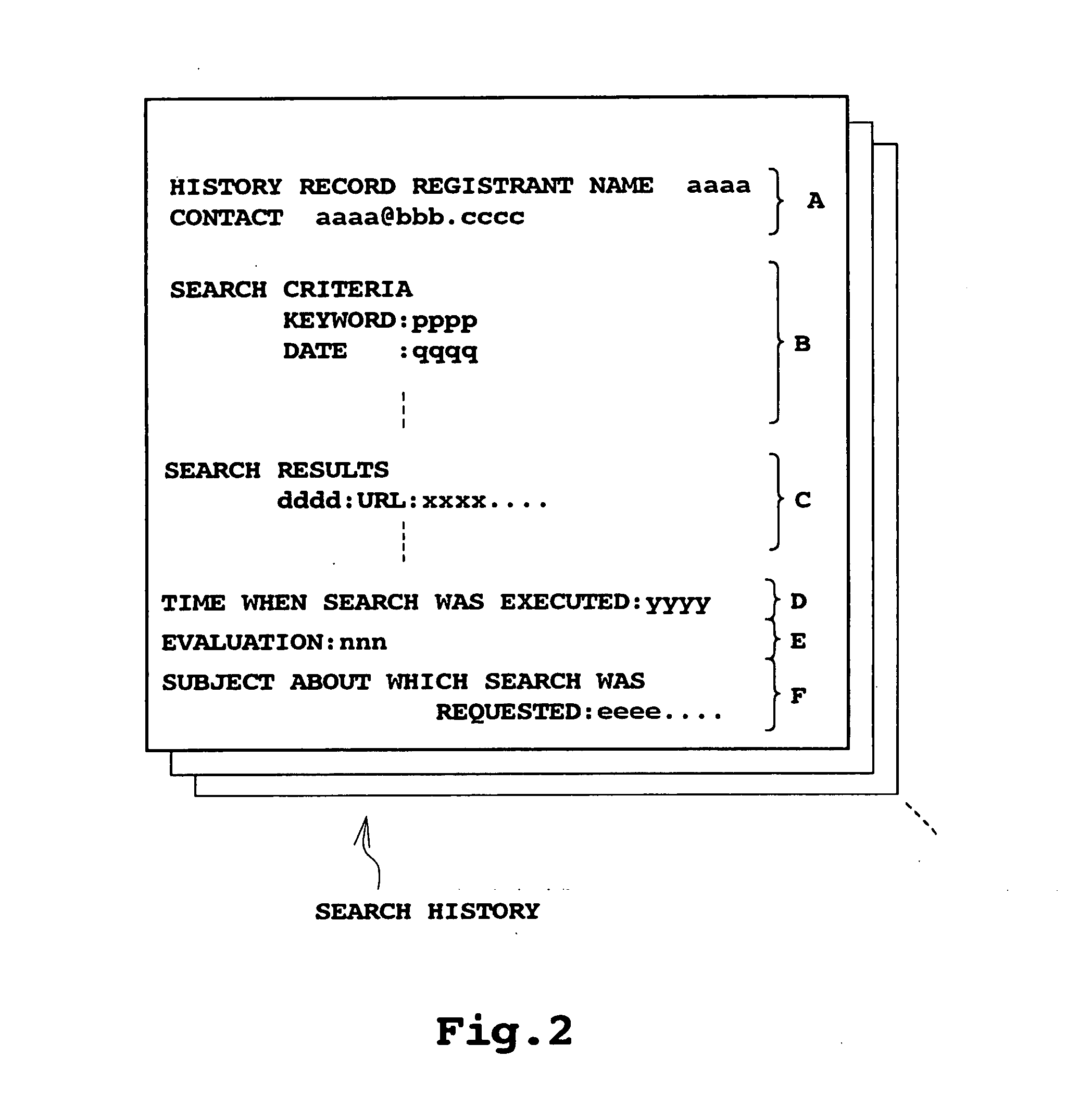 Content/information search system