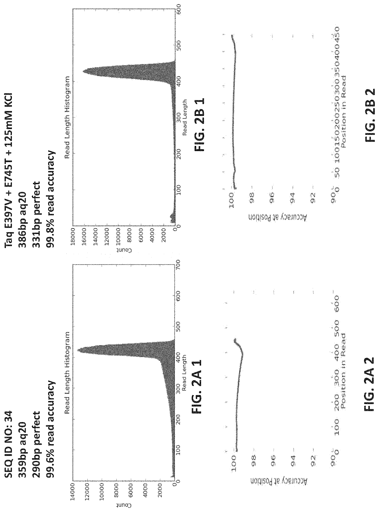 Polymerase compositions and methods of making and using same