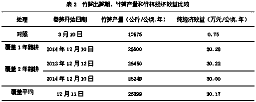 Phyllostachys-edulis-forest covering forcing culture method