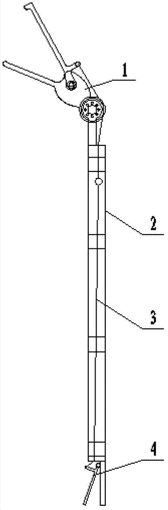 Tool for integrally removing nests