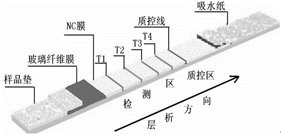 Method for preparing fast detecting test paper of illegal cooking oil