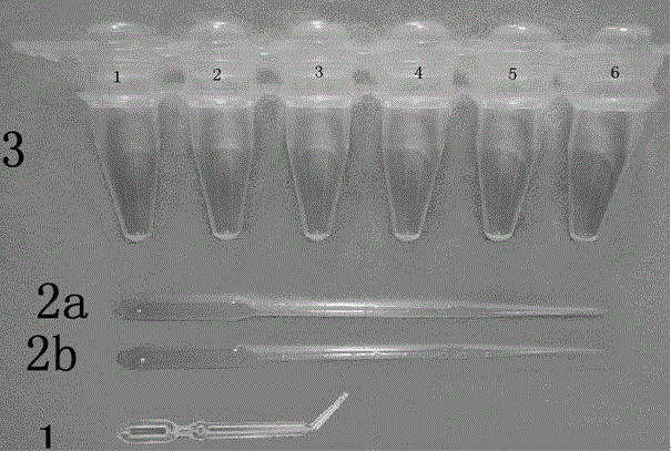 Method for preparing fast detecting test paper of illegal cooking oil