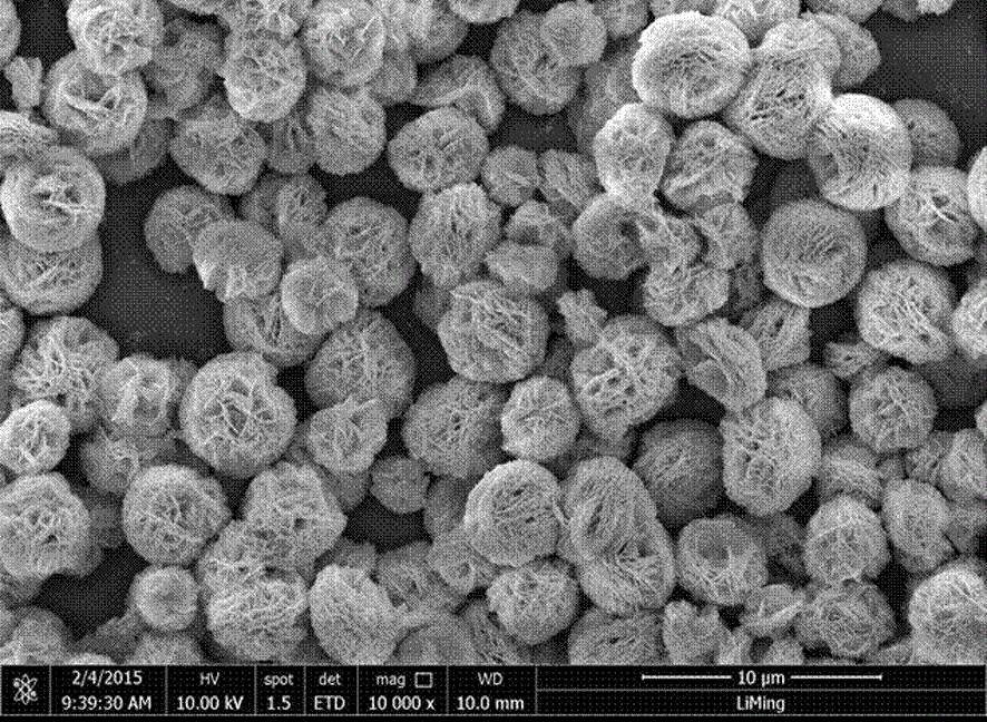 BiOBr/Bi2WO6 composite photocatalyst with heterostructure and preparation method thereof