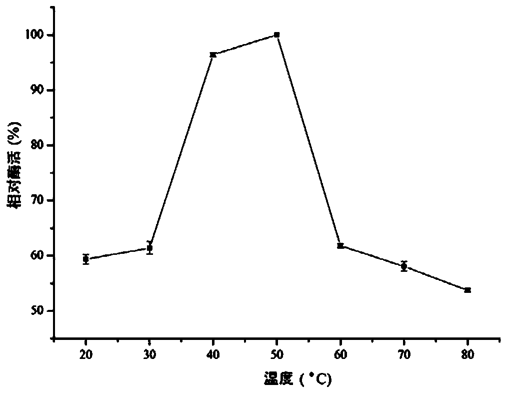 Beta-agarase, and gene and application thereof