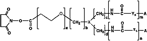 A kind of isoluminol derivative and its preparation method and application