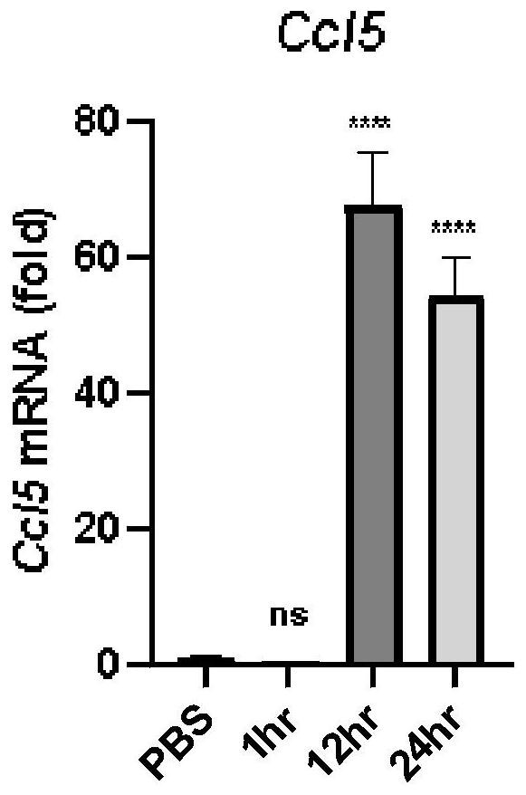 Glucohexaose and preparation method and application thereof, and hair regeneration preparation