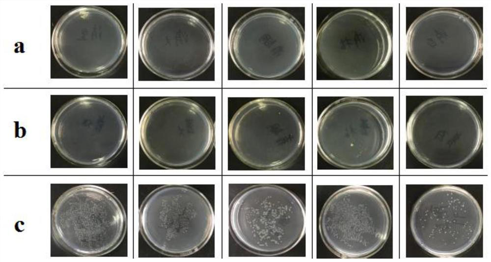 Silver ion no-clean disinfectant as well as preparation method and application thereof