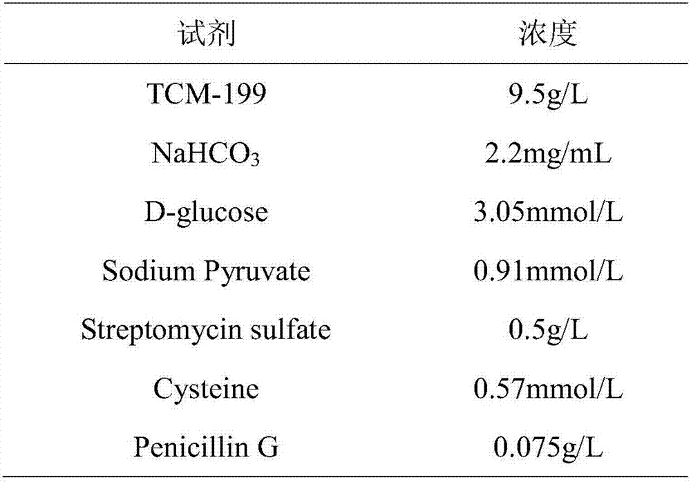 Culture solution capable of improving in vitro maturation rate of pig oocytes and application thereof