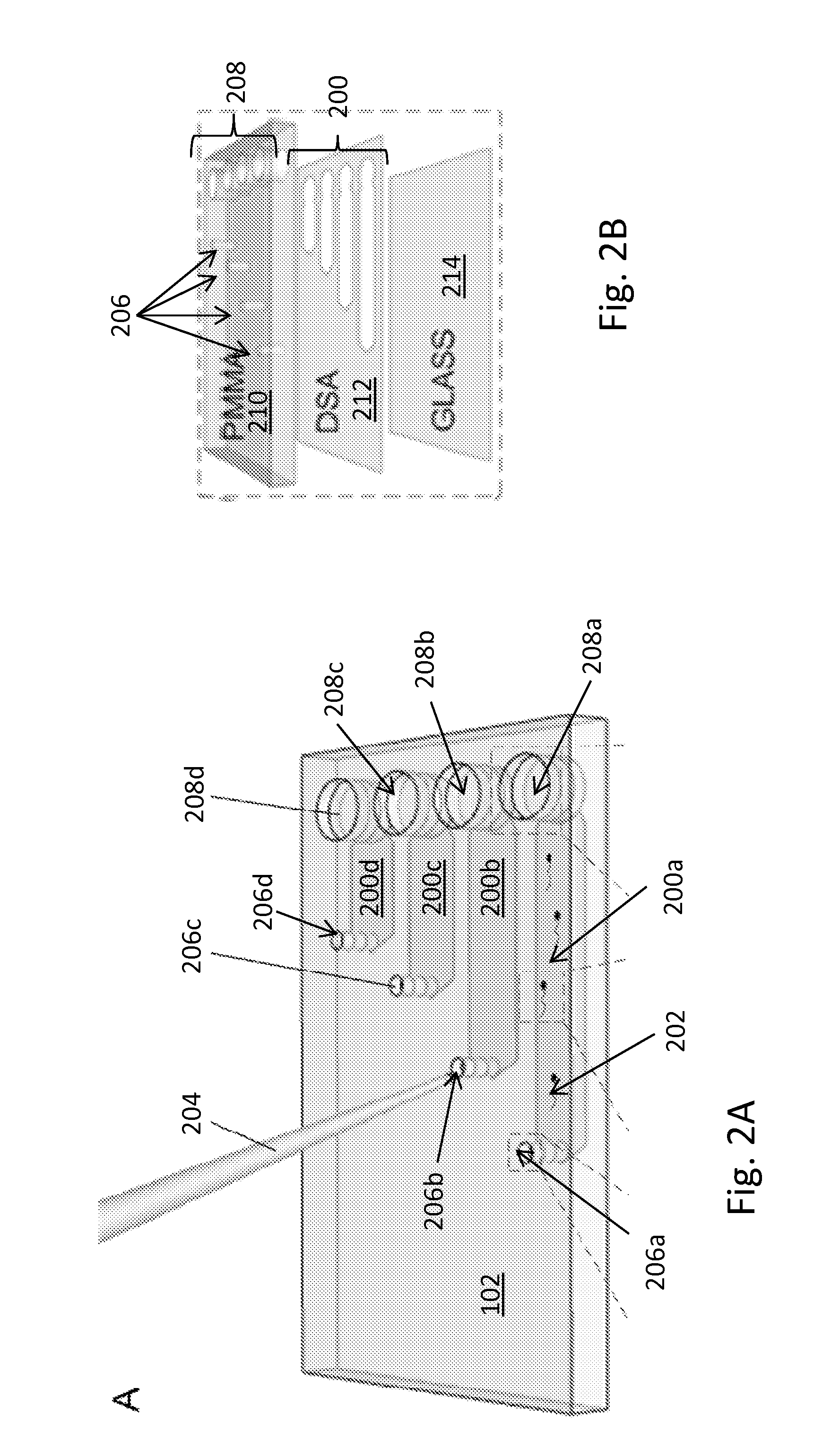 Analysis and sorting of motile cells