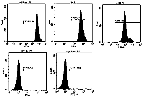 Guided tissue regeneration membrane for compositing BMSCs, patch and preparation method thereof