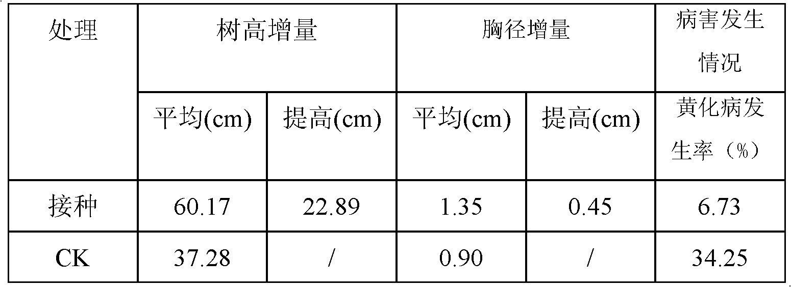 Fertilizing method for improving stress tolerance and productivity of China fir planted forest