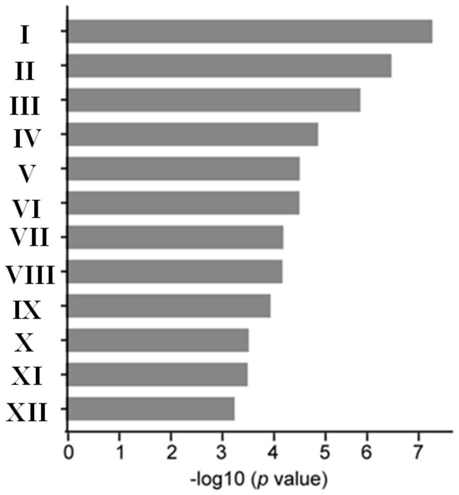 Prognostic marker and prognostic risk assessment model for metastatic colon adenocarcinoma and application of prognostic marker and prognostic risk assessment model