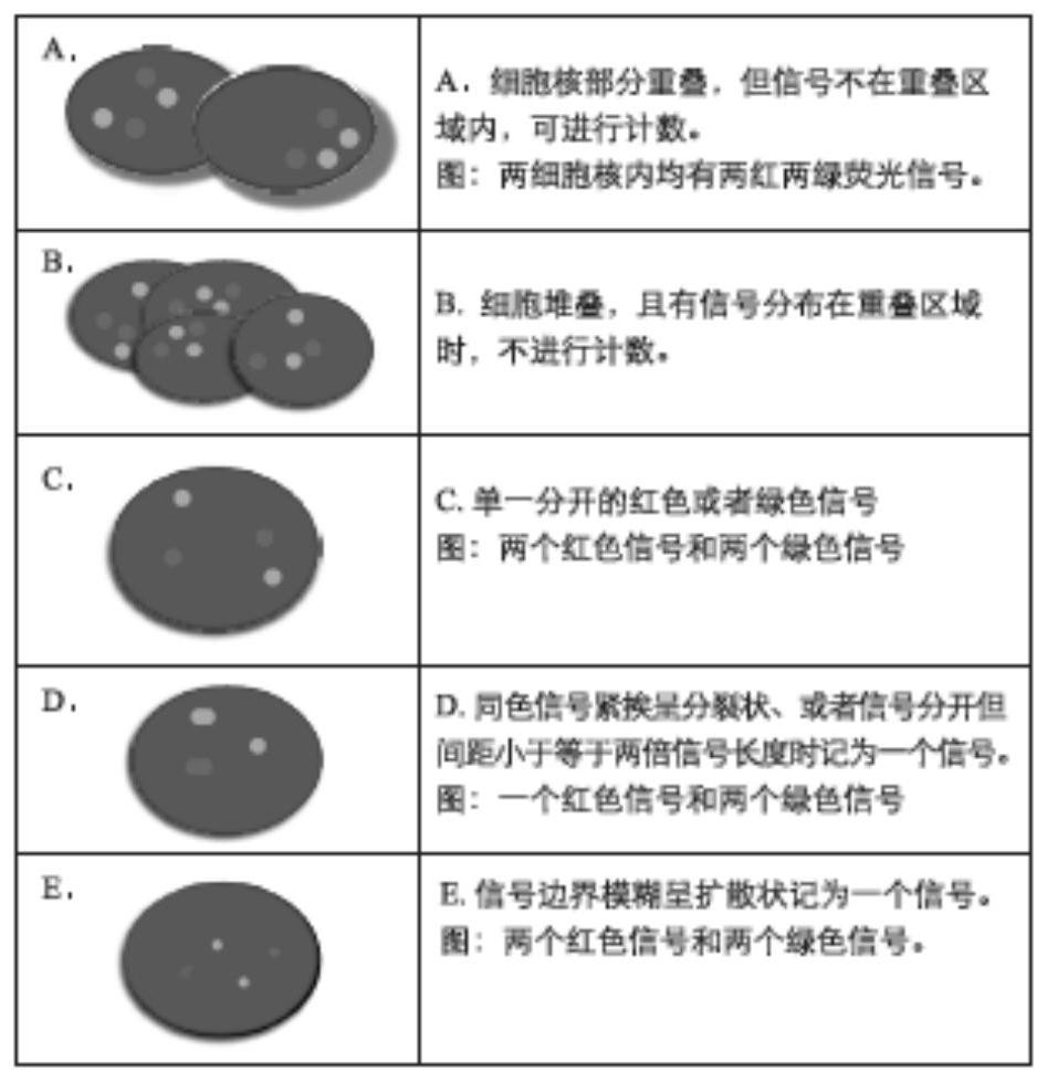 Bladder cancer detection kit