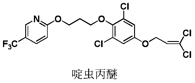Pyrazole oxime derivative containing dichloropropene as well as preparation method and application method of derivative