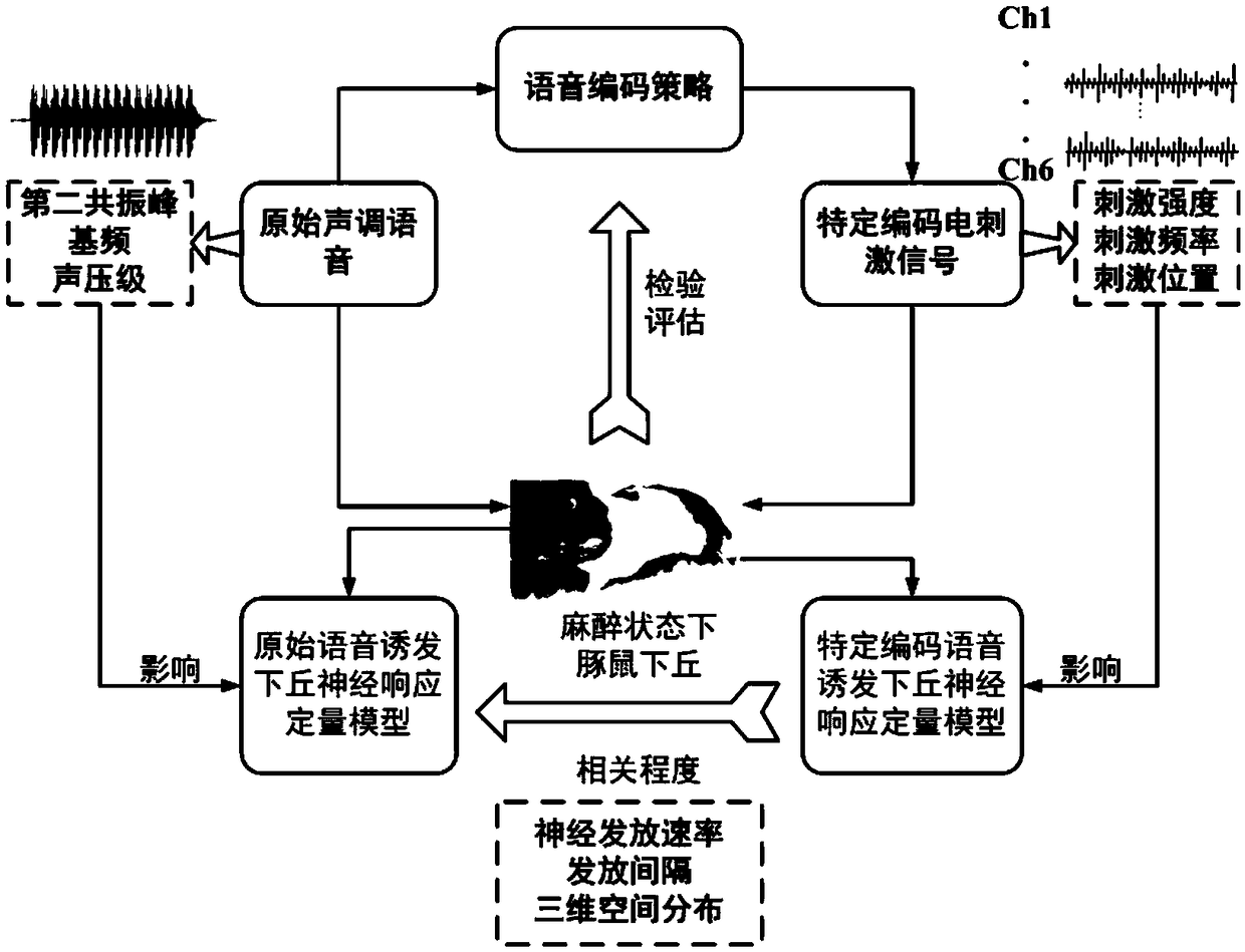 Method for verifying time domain fine structure novel code of artificial cochlea tone language