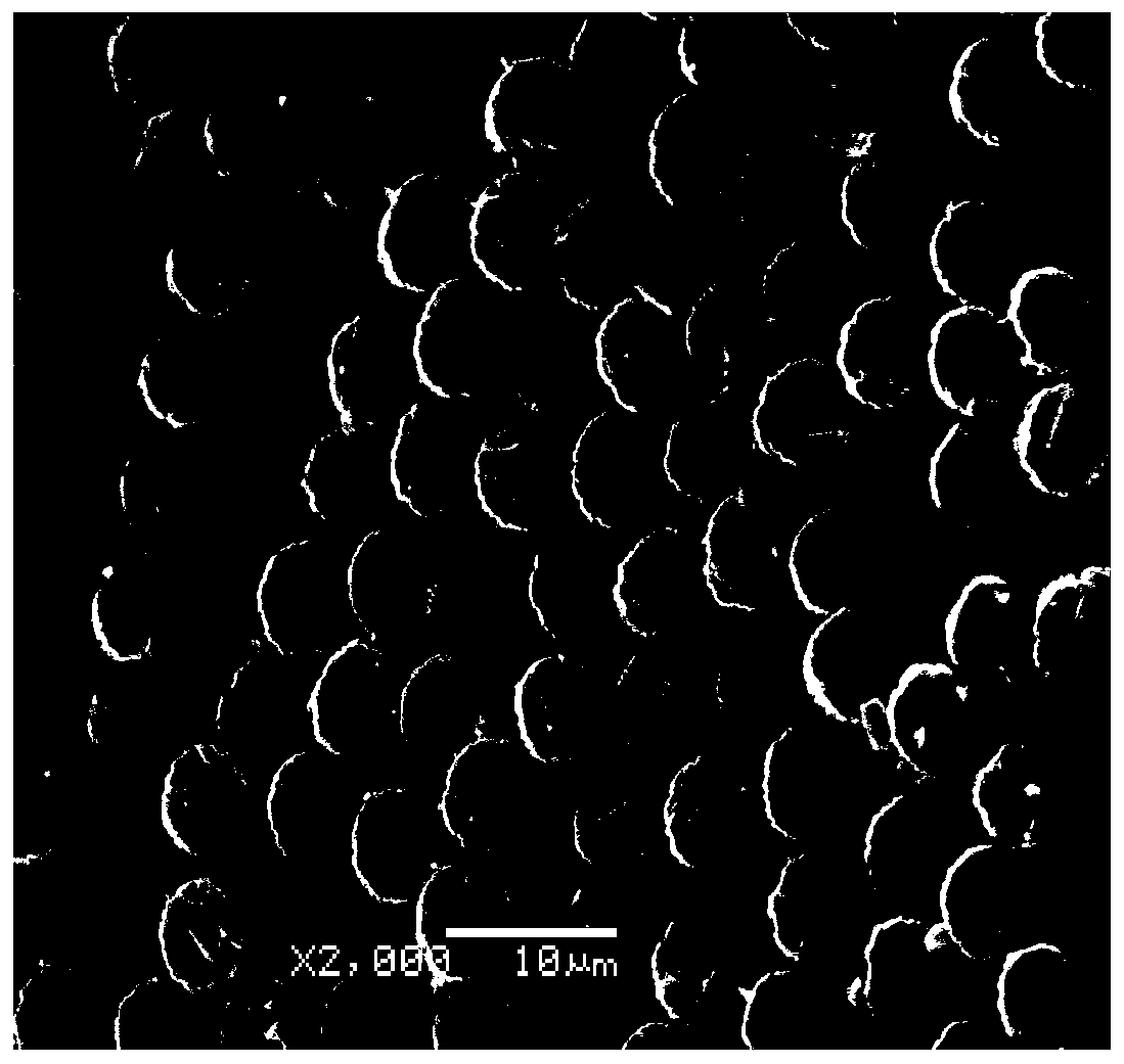 Polyacrylonitrile fiber pre-oxidation method, polyacrylonitrile carbon fiber and preparation method thereof