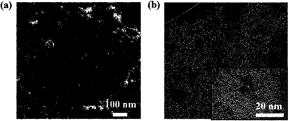 Nitrogen-doped porous defective carbon nanometer fiber mesh and preparing method and application thereof