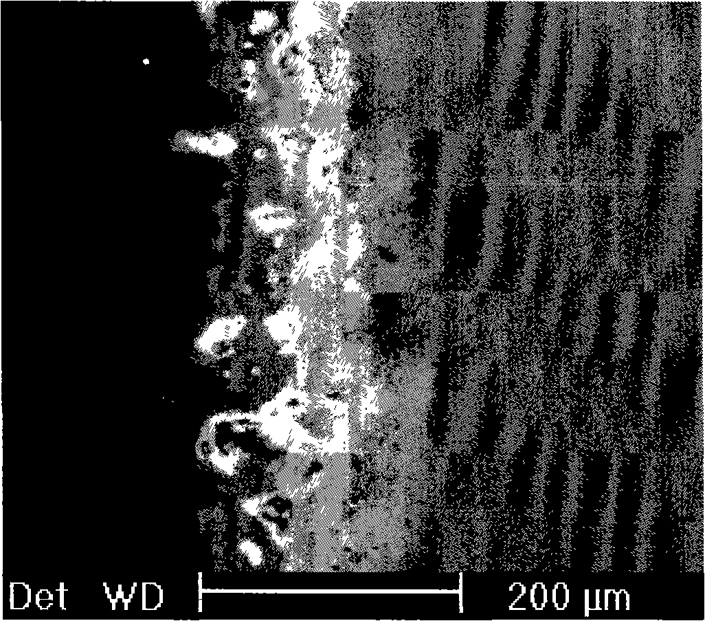 Method for preparing nano platinum oxidation coating for high temperature alloy