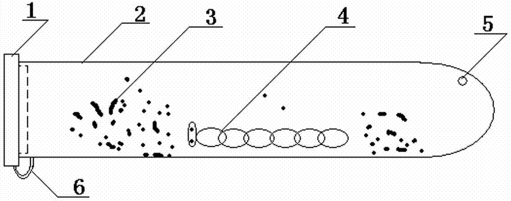 Boring insect larva host transfer experimental method