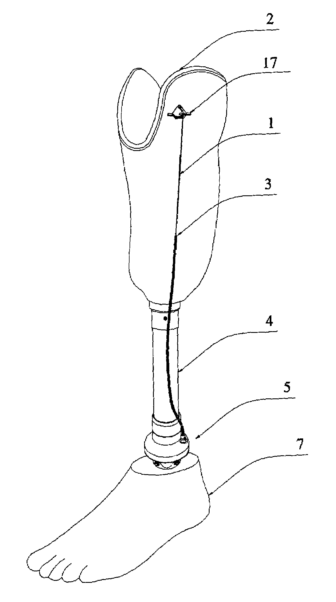 Adjustable tension prosthetic ankle rotatory device for lower limb apparatus