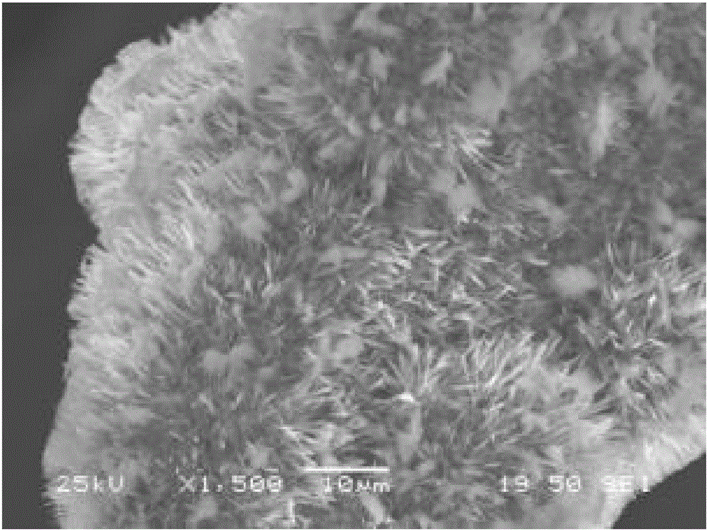 Preparation method for grapheme/zinc oxide/grapheme sandwich structure composite cathode materials for field emission