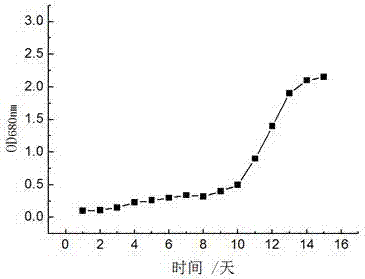 Culture method for improving contents and bioavailability of mineral elements in dunaliella salina cells