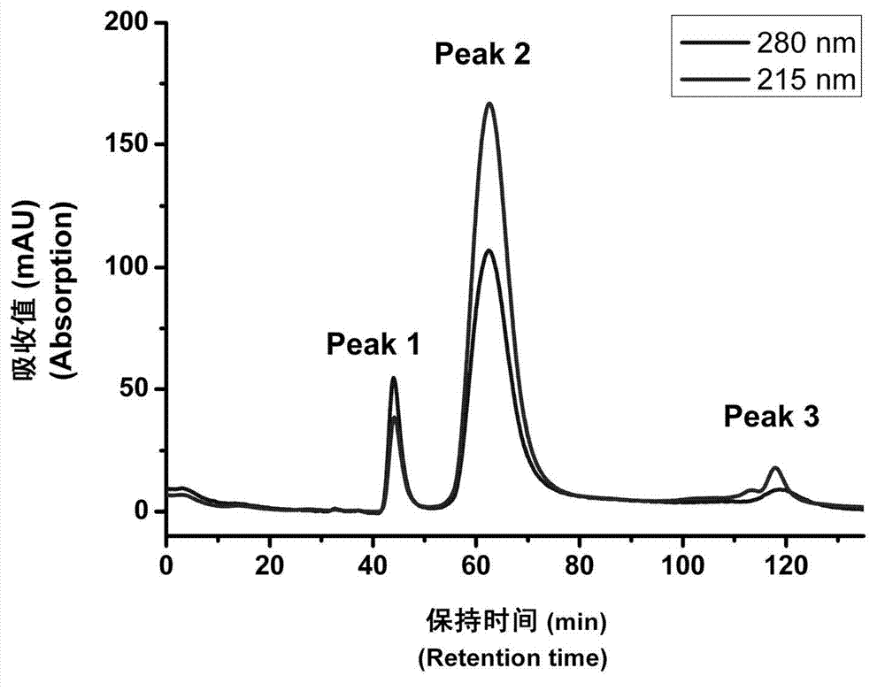 Polypeptide carrying melittin, nano-particles carrying melittin, and applications thereof