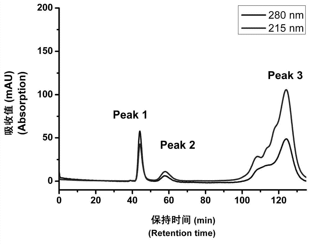 Polypeptide carrying melittin, nano-particles carrying melittin, and applications thereof