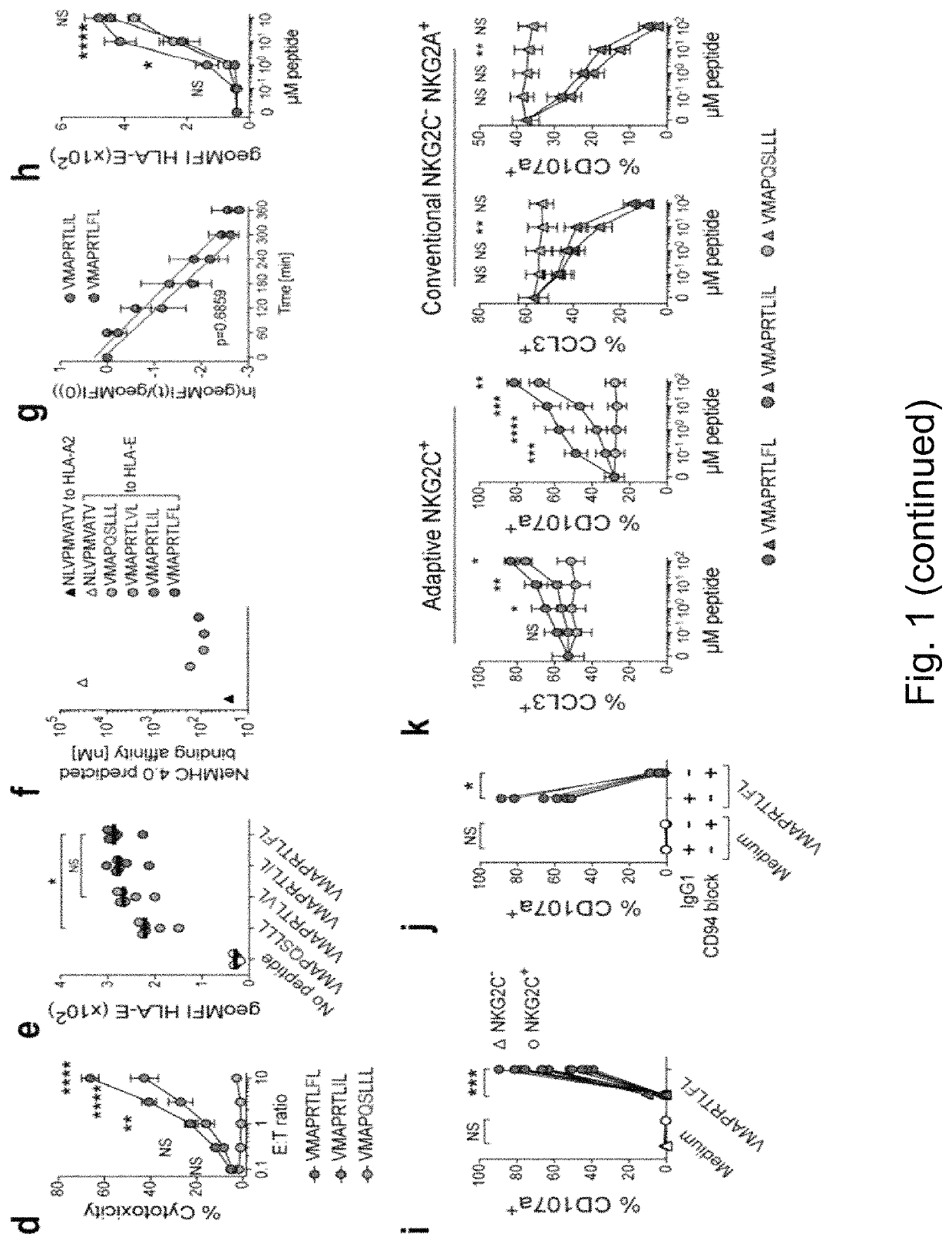 Activation and expansion of NKG2C+ NK cells