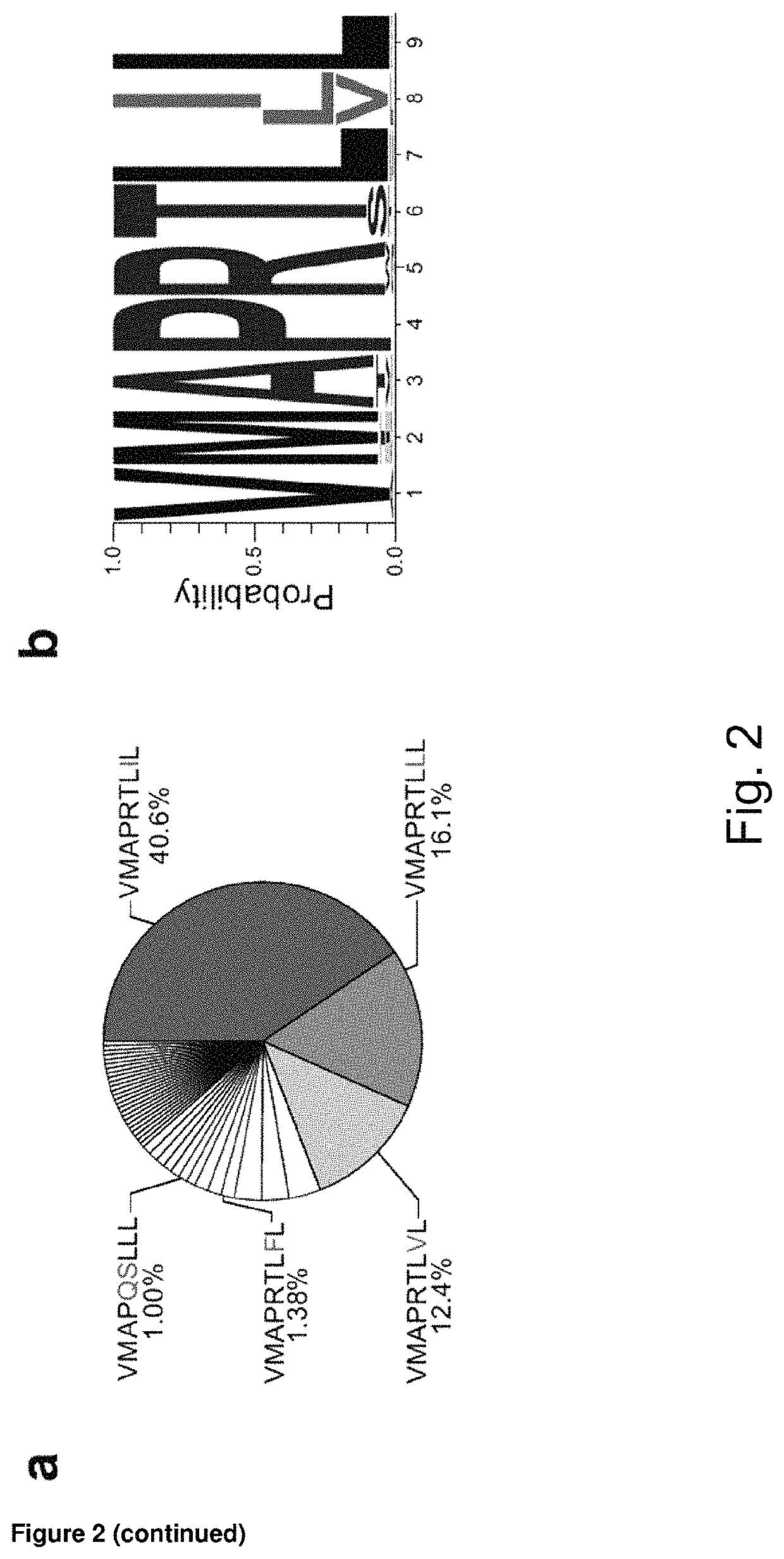 Activation and expansion of NKG2C+ NK cells