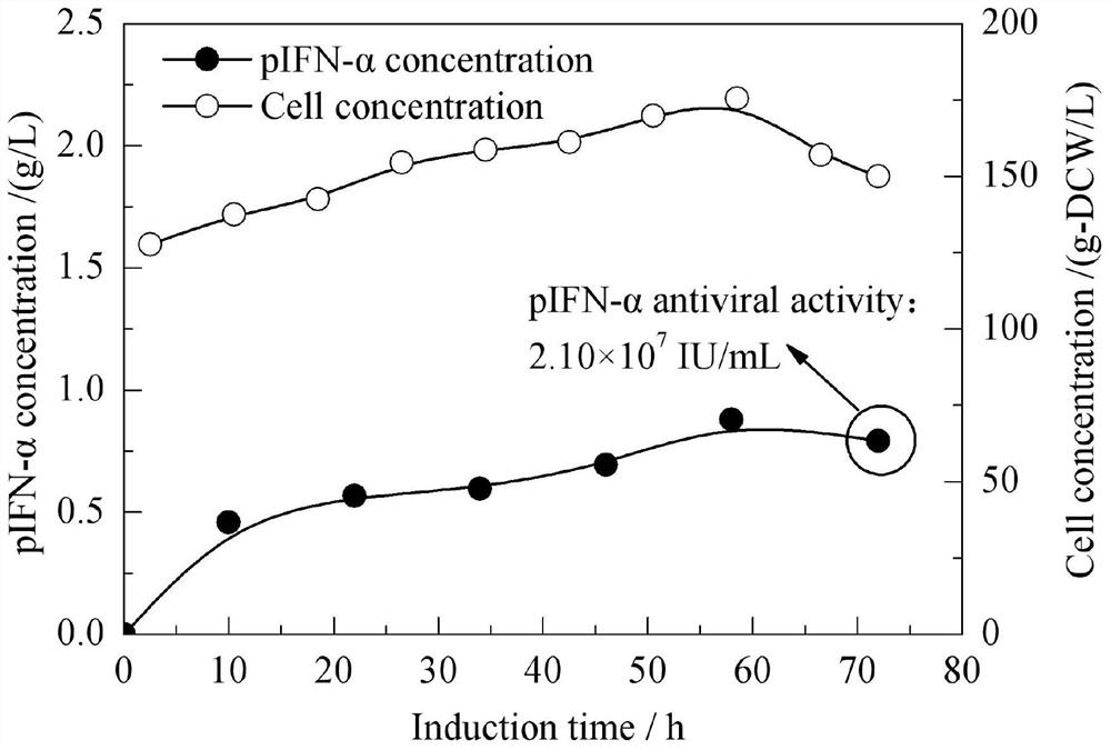 a reinforcement mut  <sup>s</sup> Method for expressing heterologous protein in Pichia pastoris