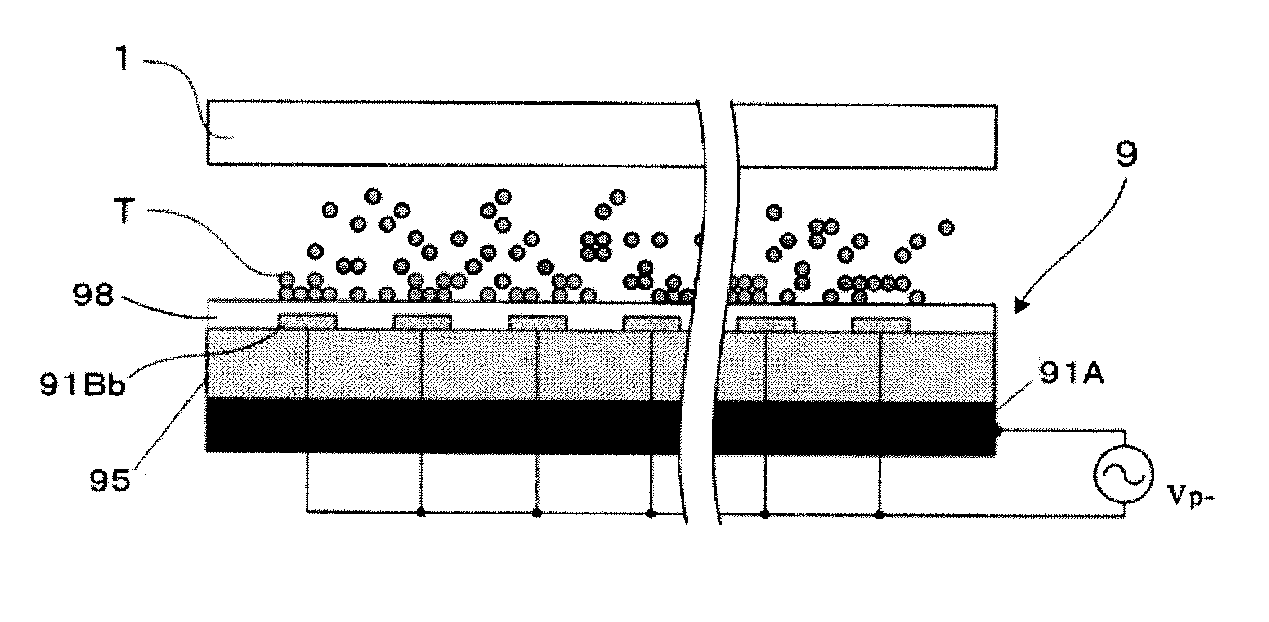 Toner bearing member, developing device, and image forming apparatus