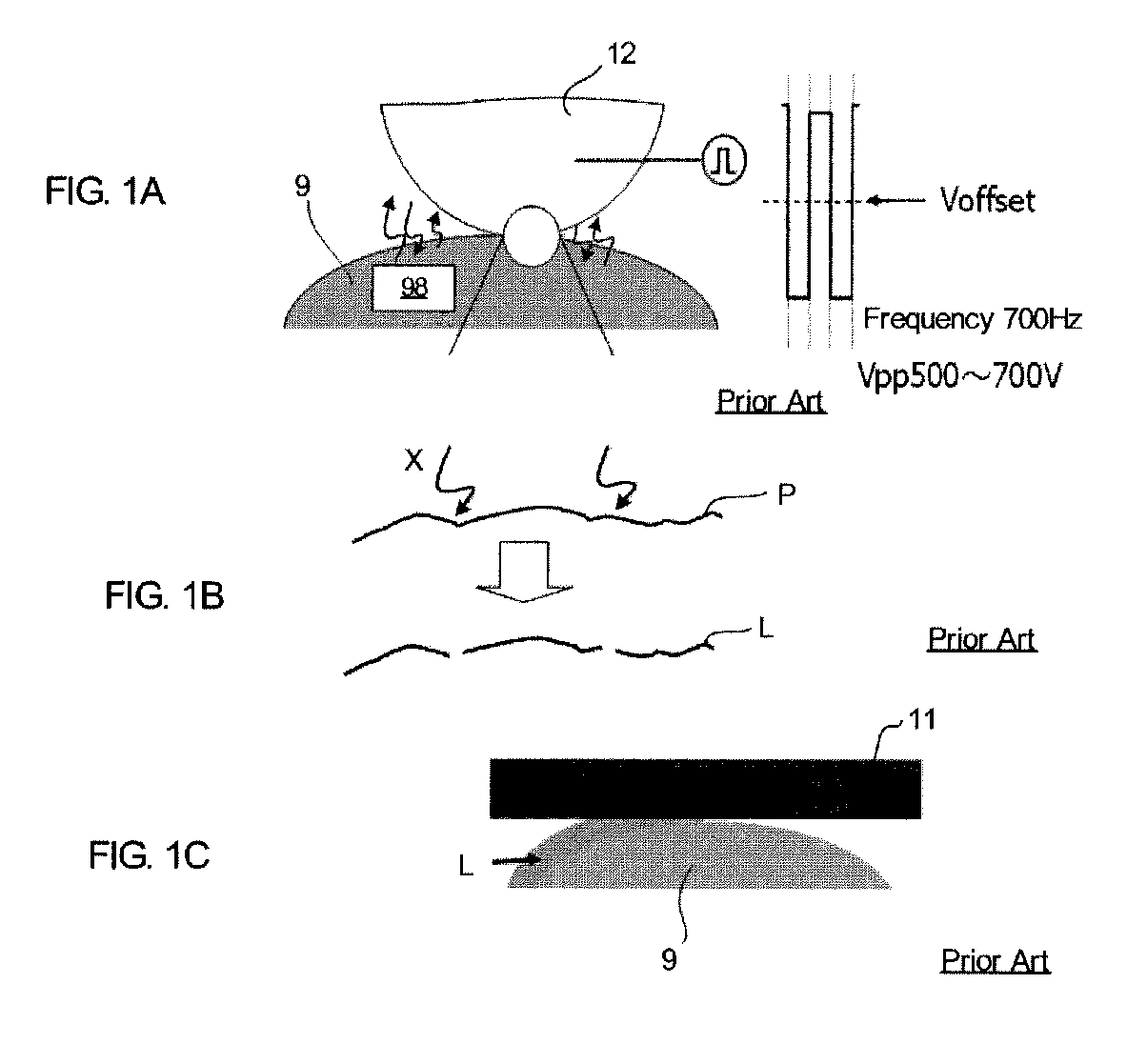 Toner bearing member, developing device, and image forming apparatus