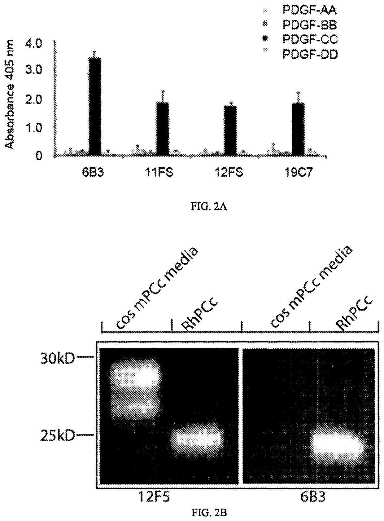 Methods and compositions for PDGF-CC inhibition