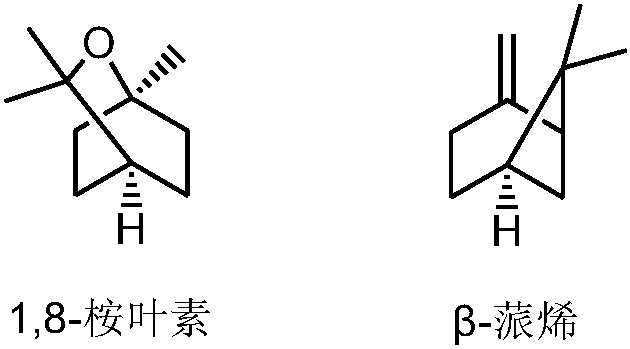 Whitening and moisturizing lotion and preparation method thereof